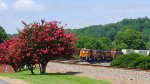 BNSF 7069 on NS